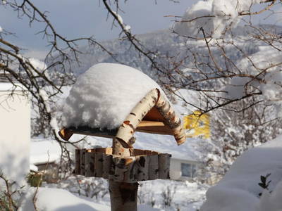 Bild 18 aus  Pechhof