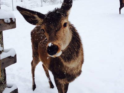 Bild 12 aus  Ferienwohnung Guttenberg