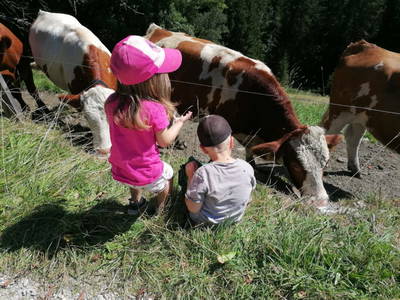 Bild 47 aus  Untergrabner Hütte