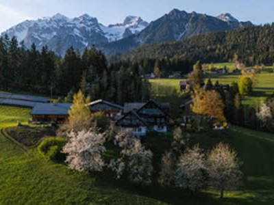 Bild 9 aus  Bio Bauernhof Leitenmüller