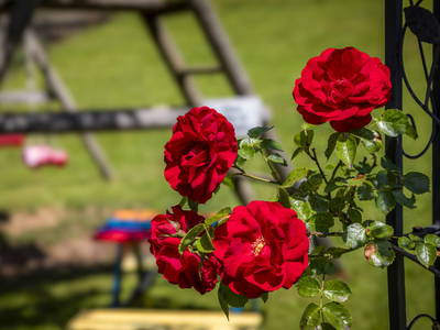 Bild 24 aus  Ferienhaus Oberpremgut