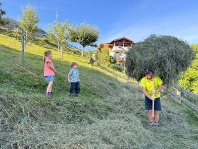 Bild 19 aus  Marteshof