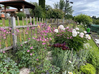 Bild 9 aus  Rutarhof