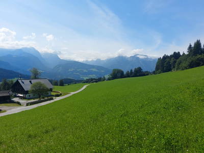 Bild 89 aus  Steinerhof