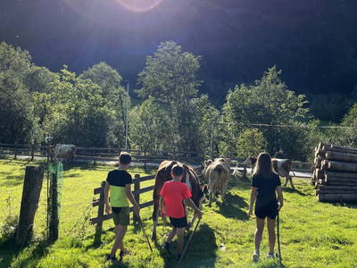 Bild 32 aus Pausshof