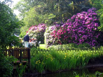 Bild 12 aus  Landhaus Wehmhoff