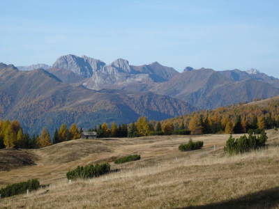 Bild 205 aus  Untererschbaum