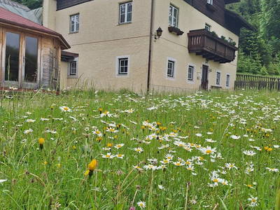Bild 66 aus  Ferienwohnung Ötscherwiese