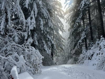 Bild 32 aus  Umundum Hütte