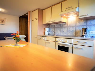 Bild 49 aus  Berghof Burtscher