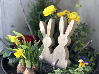 Bild 46 aus  Margreitterhof