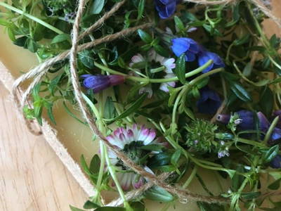 Bild 53 aus  Ascherhof