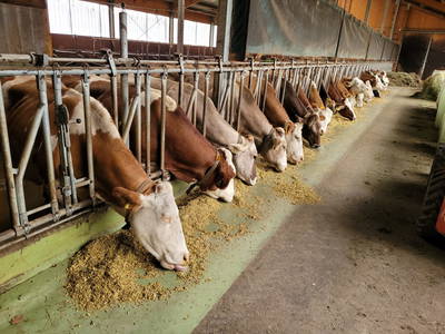 Bild 20 aus  Ferienwohnung Esserhof