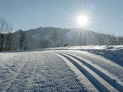 Bild 102 aus  Biobauernhof Brandlhof