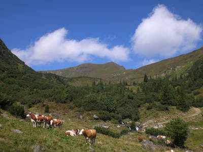 Bild 18 aus  Streiblhof