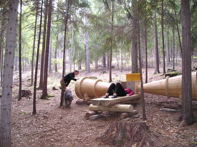 Bild 18 aus  BioBauernhof Sommer