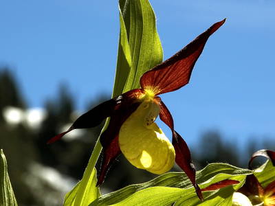 Bild 36 aus  Palfenhof