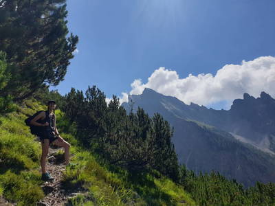 Bild 41 aus  Bauernhof Ober