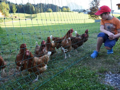 Bild 115 aus  Feriengut Unterhochstätt