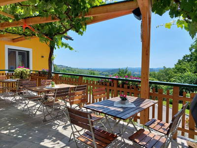 Bild 5 aus  Weingut Stoff