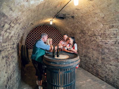 Bild 49 aus  Winzerhof Küssler, Weinviertel