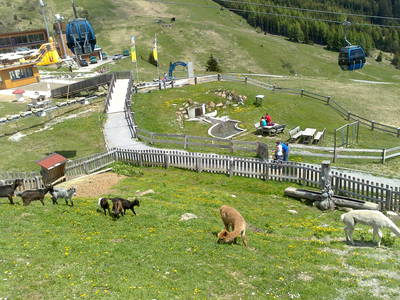 Bild 61 aus  Lodges Bernardes