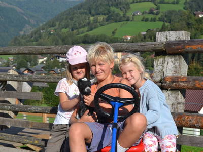 Bild 36 aus  Bio Naturhof Ottingerhof