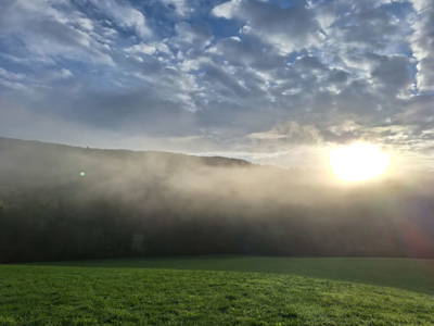 Bild 152 aus  Naturpark Bauernhof Sperl