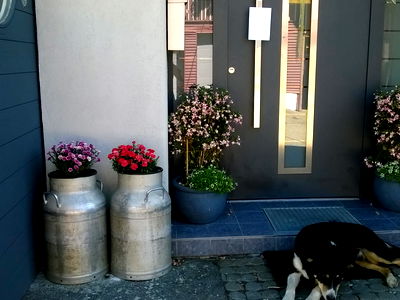 Bild 99 aus Biohof Heidegger