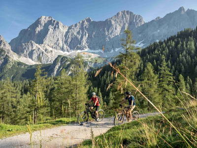 Bild 169 aus  Heisshof 