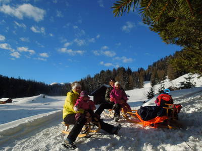 Bild 30 aus  Kinderbauernhof Albeineler Pitztal Tirol