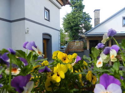 Bild 84 aus  Apartment "Kalbschädl"