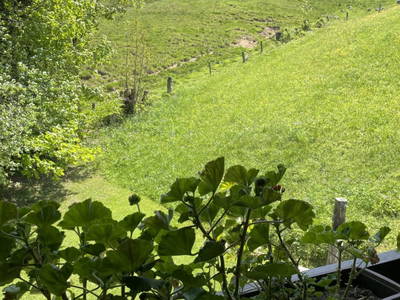 Bild 11 aus  Kühleitalm