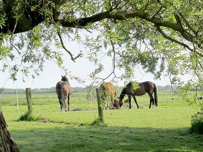 Bild 13 aus  An der See.de