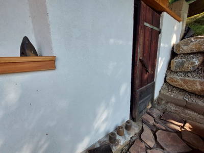 Bild 99 aus  Almhaus Maurer