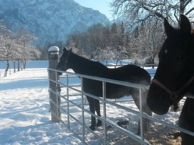 Bild 80 aus  Unteres Feld