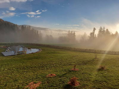 Bild 75 aus  Pircherhof - Adults Only am Biobauernhof