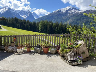 Bild 53 aus Alpenfarm Poschhof
