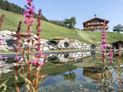 Bild 39 aus  Das Grabnergut