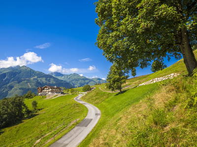 Bild 35 aus  Naglbauer