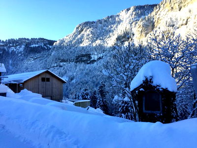 Bild 4 aus Bauernhof Farnach