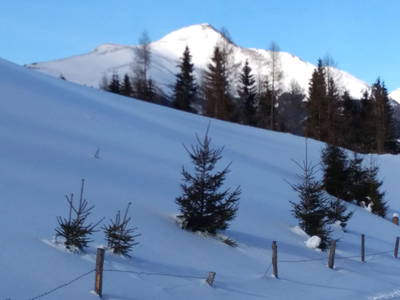 Bild 93 aus  Almhütte Wiedhupf