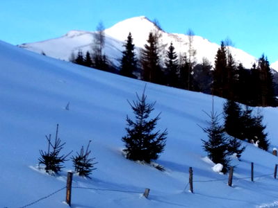 Bild 93 aus Almhütte Wiedhupf