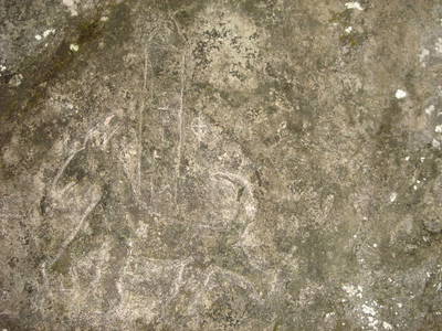 Bild 40 aus  Blumenhof Elfi