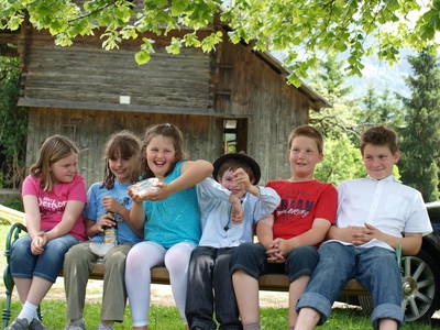 Bild 2 aus  Biobauernhof Walcherhof