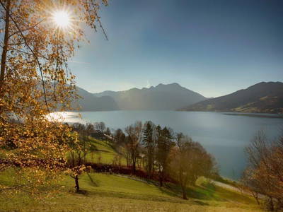 Bild 21 aus  Mostschenke Grablerhof