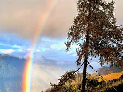 Bild 104 aus  Almhütte Pucher