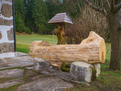 Bild 86 aus  Ferienhaus Rainbauer