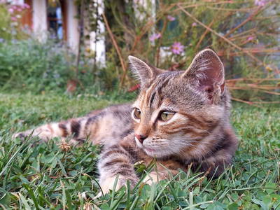 Bild 44 aus  Weinberghof Ilkerl Luf