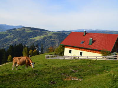 Bild 2 aus Almferienhaus Russmann